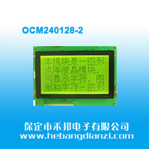 OCM240128-2 SG5V(COB) (c)S